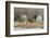 Washington State. Two Barns, at the Nisqually Wildlife Refuge-Matt Freedman-Framed Photographic Print