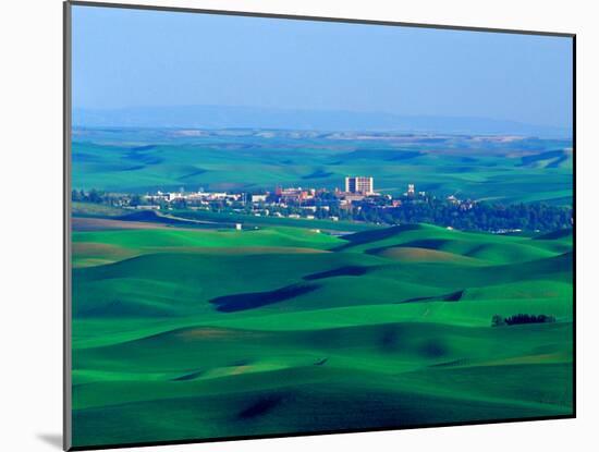 Washington State University Campus, Kamiak Butte, Washington, USA-Charles Sleicher-Mounted Premium Photographic Print