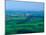 Washington State University Campus, Kamiak Butte, Washington, USA-Charles Sleicher-Mounted Premium Photographic Print