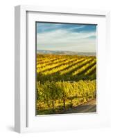 Washington State, Walla Walla. Fall Color in Vineyards-Richard Duval-Framed Photographic Print