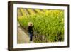 Washington State, Walla Walla. Field Worker at Harvest in a Vineyard-Richard Duval-Framed Photographic Print