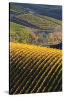 Washington State, Walla Walla. Spring Valley and Vineyards-Richard Duval-Stretched Canvas