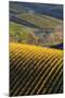 Washington State, Walla Walla. Spring Valley and Vineyards-Richard Duval-Mounted Photographic Print