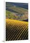 Washington State, Walla Walla. Spring Valley and Vineyards-Richard Duval-Framed Photographic Print