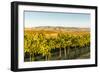 Washington State, Walla Walla. the Blue Mountains Overlook-Richard Duval-Framed Photographic Print