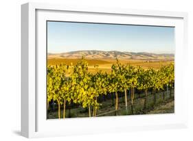 Washington State, Walla Walla. the Blue Mountains Overlook-Richard Duval-Framed Photographic Print