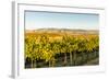 Washington State, Walla Walla. the Blue Mountains Overlook-Richard Duval-Framed Photographic Print