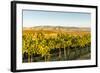 Washington State, Walla Walla. the Blue Mountains Overlook-Richard Duval-Framed Photographic Print