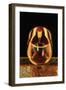 Washington State, Walla Walla. the Illusion of a Bottle Inside a Glass in a Walla Walla Winery-Richard Duval-Framed Photographic Print