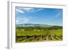 Washington State, Walla Walla. Vineyard in Walla Walla-Richard Duval-Framed Photographic Print