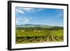 Washington State, Walla Walla. Vineyard in Walla Walla-Richard Duval-Framed Photographic Print