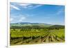 Washington State, Walla Walla. Vineyard in Walla Walla-Richard Duval-Framed Premium Photographic Print