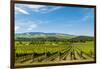 Washington State, Walla Walla. Vineyard in Walla Walla-Richard Duval-Framed Premium Photographic Print