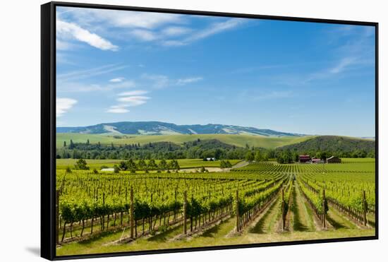 Washington State, Walla Walla. Vineyard in Walla Walla-Richard Duval-Framed Stretched Canvas