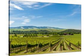 Washington State, Walla Walla. Vineyard in Walla Walla-Richard Duval-Stretched Canvas