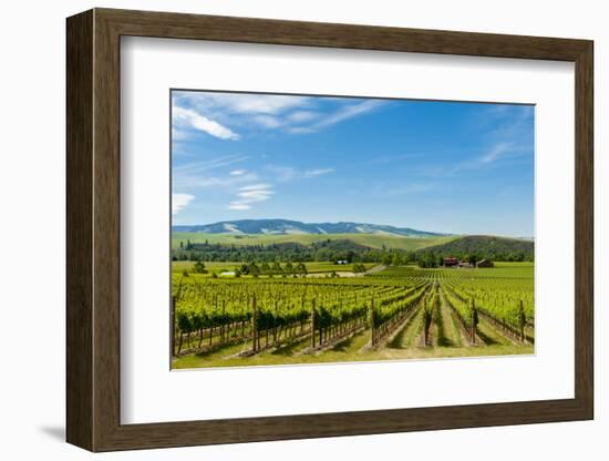 Washington State, Walla Walla. Vineyard in Walla Walla-Richard Duval-Framed Photographic Print