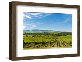 Washington State, Walla Walla. Vineyard in Walla Walla-Richard Duval-Framed Photographic Print