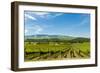 Washington State, Walla Walla. Vineyard in Walla Walla-Richard Duval-Framed Photographic Print