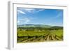 Washington State, Walla Walla. Vineyard in Walla Walla-Richard Duval-Framed Photographic Print