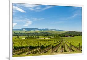 Washington State, Walla Walla. Vineyard in Walla Walla-Richard Duval-Framed Photographic Print