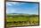 Washington State, Walla Walla. Vineyard in Walla Walla-Richard Duval-Framed Photographic Print