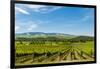 Washington State, Walla Walla. Vineyard in Walla Walla-Richard Duval-Framed Photographic Print