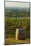 Washington State, Walla Walla. Vineyard Overlooking the Valley-Richard Duval-Mounted Photographic Print