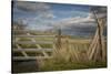 Washington State, Whitman County, Palouse, Lacrosse, Pioneer Stock Farm-Alison Jones-Stretched Canvas