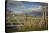 Washington State, Whitman County, Palouse, Lacrosse, Pioneer Stock Farm-Alison Jones-Stretched Canvas