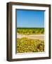 Washington State, Yakima Valley. Chardonnay Harvest in a Vineyard-Richard Duval-Framed Photographic Print