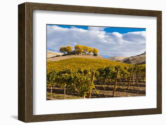 Washington State, Yakima Valley. Vineyard and Winery in Yakima Valley-Richard Duval-Framed Photographic Print