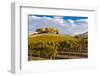 Washington State, Yakima Valley. Vineyard and Winery in Yakima Valley-Richard Duval-Framed Photographic Print