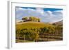 Washington State, Yakima Valley. Vineyard and Winery in Yakima Valley-Richard Duval-Framed Photographic Print