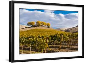 Washington State, Yakima Valley. Vineyard and Winery in Yakima Valley-Richard Duval-Framed Photographic Print