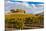 Washington State, Yakima Valley. Vineyard and Winery in Yakima Valley-Richard Duval-Mounted Photographic Print