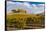 Washington State, Yakima Valley. Vineyard and Winery in Yakima Valley-Richard Duval-Framed Stretched Canvas