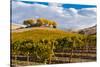 Washington State, Yakima Valley. Vineyard and Winery in Yakima Valley-Richard Duval-Stretched Canvas