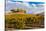 Washington State, Yakima Valley. Vineyard and Winery in Yakima Valley-Richard Duval-Stretched Canvas