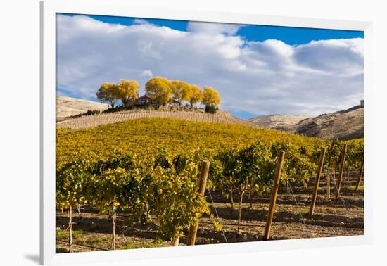 Washington State, Yakima Valley. Vineyard and Winery in Yakima Valley-Richard Duval-Framed Photographic Print