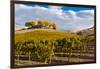 Washington State, Yakima Valley. Vineyard and Winery in Yakima Valley-Richard Duval-Framed Photographic Print