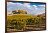 Washington State, Yakima Valley. Vineyard and Winery in Yakima Valley-Richard Duval-Framed Photographic Print