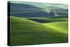 Washington, Steptoe Butte. Scenic of Rolling Green Palouse Hills-Jaynes Gallery-Stretched Canvas