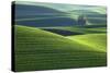 Washington, Steptoe Butte. Scenic of Rolling Green Palouse Hills-Jaynes Gallery-Stretched Canvas