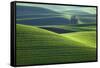 Washington, Steptoe Butte. Scenic of Rolling Green Palouse Hills-Jaynes Gallery-Framed Stretched Canvas