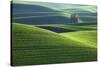 Washington, Steptoe Butte. Scenic of Rolling Green Palouse Hills-Jaynes Gallery-Stretched Canvas