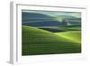 Washington, Steptoe Butte. Scenic of Rolling Green Palouse Hills-Jaynes Gallery-Framed Photographic Print