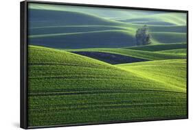 Washington, Steptoe Butte. Scenic of Rolling Green Palouse Hills-Jaynes Gallery-Framed Photographic Print