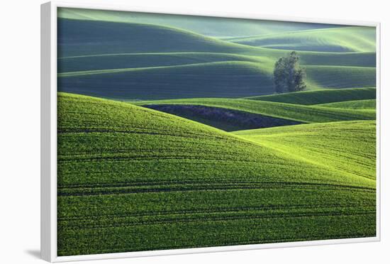 Washington, Steptoe Butte. Scenic of Rolling Green Palouse Hills-Jaynes Gallery-Framed Photographic Print