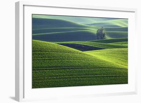 Washington, Steptoe Butte. Scenic of Rolling Green Palouse Hills-Jaynes Gallery-Framed Photographic Print