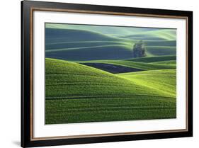 Washington, Steptoe Butte. Scenic of Rolling Green Palouse Hills-Jaynes Gallery-Framed Photographic Print